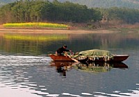 《老鬼釣魚視頻》風行尾斗湖
