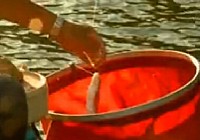 《老鬼釣魚視頻》湖南行皂市水庫釣翹嘴