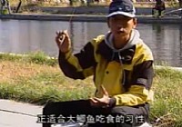 《其他名人釣魚視頻》叢杰釣大鯽魚視頻 第4集
