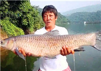 《高橋淡水行》第11集 高橋云南淡水行 勵志釣獲大青魚