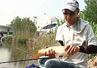 《其他名人釣魚視頻》王超黑坑釣鯉魚