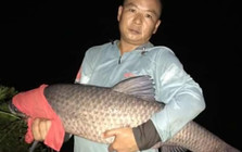 《其他名人釣魚視頻》黃文軍水庫釣大青魚