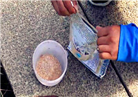 《三本先生》臺釣第15期 三哥黑坑搏青魚（上）