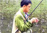 《三本先生》傳統釣第56期 雨天淺溝垂釣鯽魚