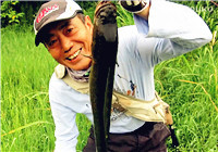 《三耳魚路亞黑魚》2017夏季雷強系列之二十