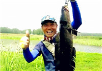 《三耳魚路亞黑魚》2016年終總結篇