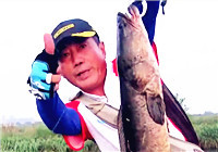 《三耳魚路亞黑魚》2017夏季雷強系列之三十五