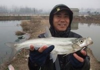 《三耳魚路亞翹嘴》冬季自然水域垂釣翹嘴技巧