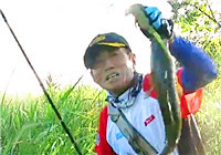 《三耳魚路亞黑魚》2017秋季雷強系列之八