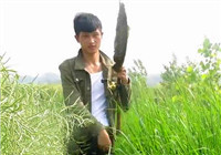 《三耳魚路亞黑魚》2017夏季雷強系列之一