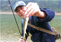 《三耳魚路亞黑魚》三耳魚的馬口微世界 2017冬季之二