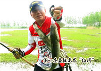《三耳魚路亞黑魚》2017春季雷強系列之十六