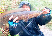 《三耳魚路亞黑魚》2017秋季雷強系列之三十