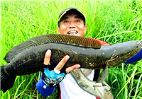 《三耳魚路亞黑魚》2017秋季雷強系列之一