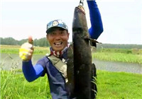 《三耳魚路亞黑魚》 2016 夏季路亞黑魚雷強之06