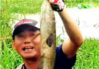 《三耳魚路亞黑魚》2016夏季雷強之29
