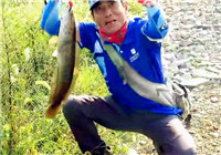 《三耳魚路亞黑魚》2016秋季雷強之20