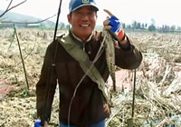 《三耳魚路亞黑魚》2016春季路亞黑魚雷強之02