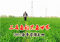 《三耳魚路亞黑魚》2017春季雷強系列之四