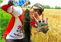 《三耳魚路亞黑魚》2017夏季雷強系列之八