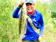 《三耳魚路亞黑魚》2016秋季雷強之16