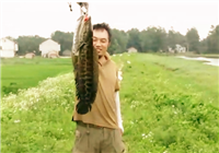 《三耳魚路亞黑魚》 2016 夏季路亞黑魚雷強之10