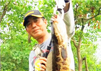 《三耳魚路亞黑魚》2017夏季雷強系列之二十三