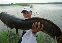 《三耳魚路亞黑魚》2015夏季路亞黑魚雷強視頻集錦