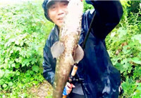 《三耳魚路亞黑魚》2016夏季雷強之31