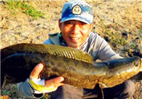 《三耳魚路亞黑魚》2016秋季雷強之06