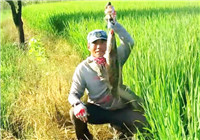 《三耳魚路亞黑魚》2016夏季雷強之20