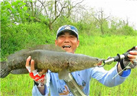 《三耳魚路亞黑魚》2017春季雷強系列之十三