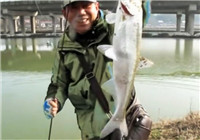 《三耳魚路亞黑魚》 2015-2016冬季路亞釣集錦