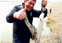 《三耳魚路亞黑魚》2017猴年收官獵翹之行