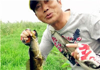 《三耳魚路亞黑魚》2017路黑精彩回顧 三