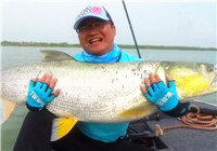 《藍旗魚小汐路亞視頻》 明珠湖探釣擒獲大鱤魚