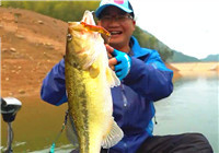 《藍旗魚小汐路亞視頻》小汐產卵季探釣大口鱸魚攻略（下）
