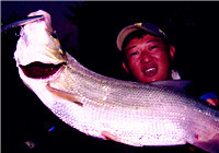 《藍旗魚小汐路亞視頻》 盛夏夜路翹嘴