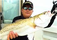 《藍旗魚小汐路亞視頻》 大海鱸的引力波