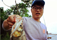 《藍旗魚小汐路亞視頻》 湖泊實戰作釣，慢節奏抽停奏奇效