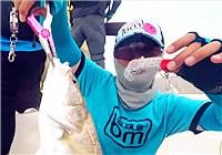 《藍旗魚小汐路亞視頻》 算準潮水，圍殲水下大物