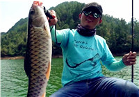 《藍旗魚小汐路亞視頻》 巡邊搜軍魚
