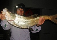 《藍旗魚小汐路亞視頻》陽澄湖遠投鉛筆路亞翹嘴