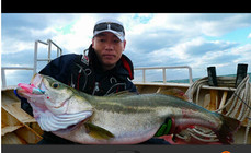 《藍旗魚小汐路亞視頻》霸道海鱸爭霸賽2014