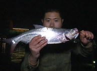 《藍旗魚小汐路亞視頻》超級遠投鉛筆釣獲翹嘴鲌