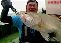 《藍旗魚小汐路亞視頻》 東海路亞挑戰七星鱸
