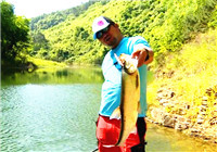 《藍旗魚小汐路亞視頻》 徐絕非丹江口瘋狂釣翹嘴