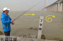 《藍旗魚小汐路亞視頻》沉水鉛筆路亞翹嘴鲌