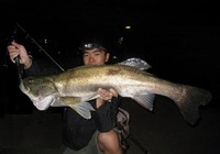 《藍旗魚小汐路亞視頻》江蘇大豐釣場路亞七星鱸
