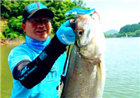《藍旗魚小汐路亞視頻》 千島湖擒獲翹嘴記